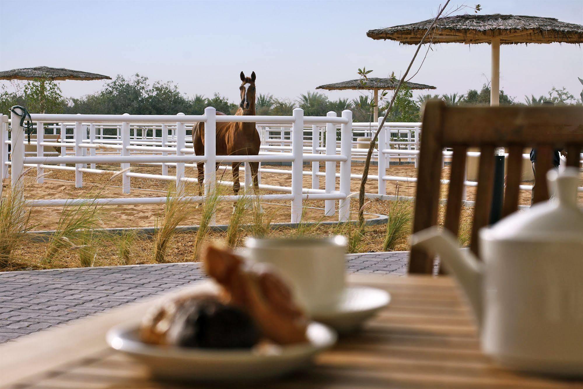 Anantara Sir Bani Yas Island Al Sahel Villas Zahr Exterior photo